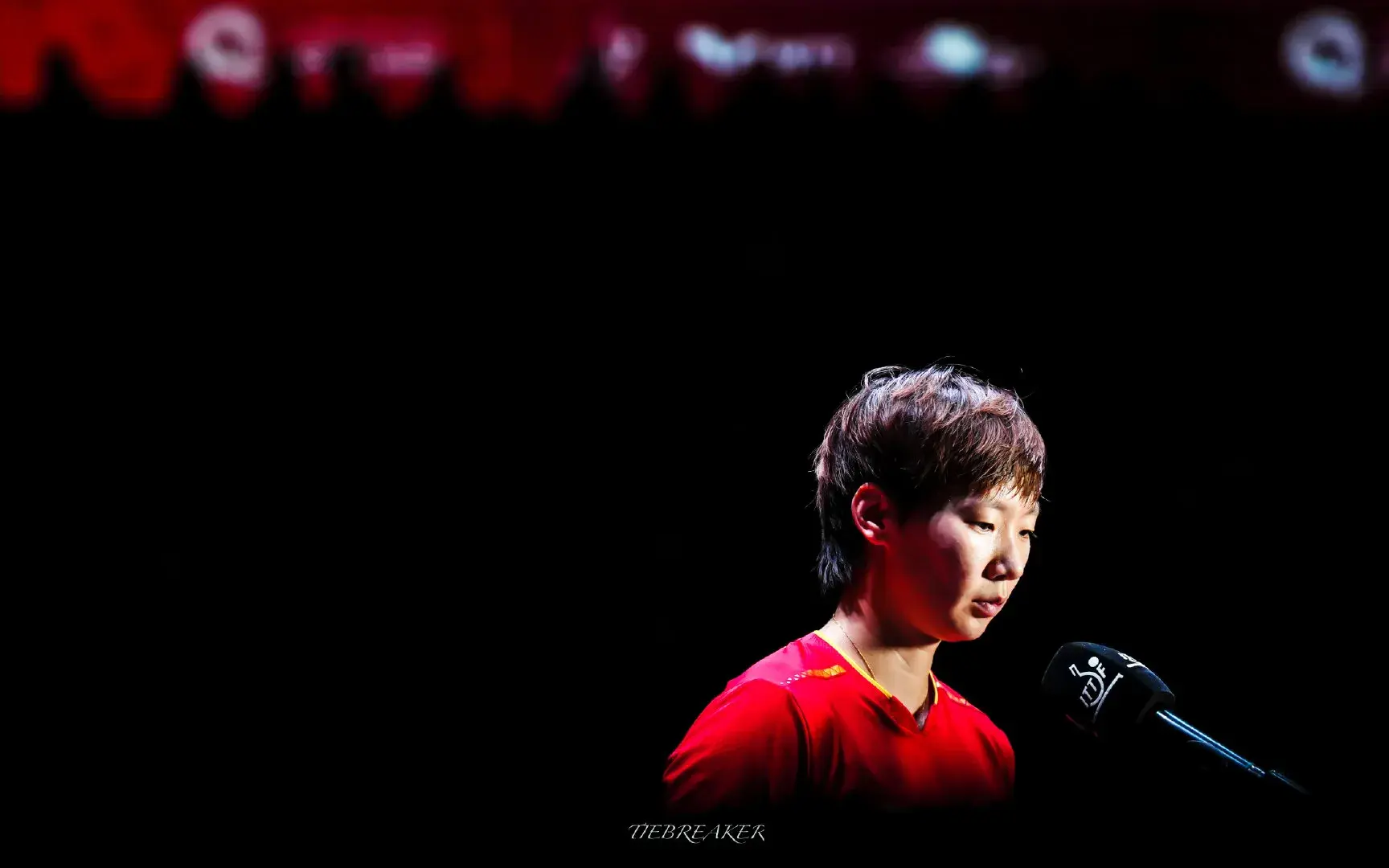 都没有太多, 直接形成上, 陈思羽还是