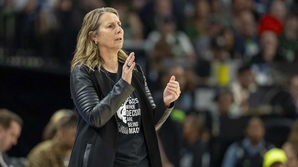 遗憾, 山猫队在谢